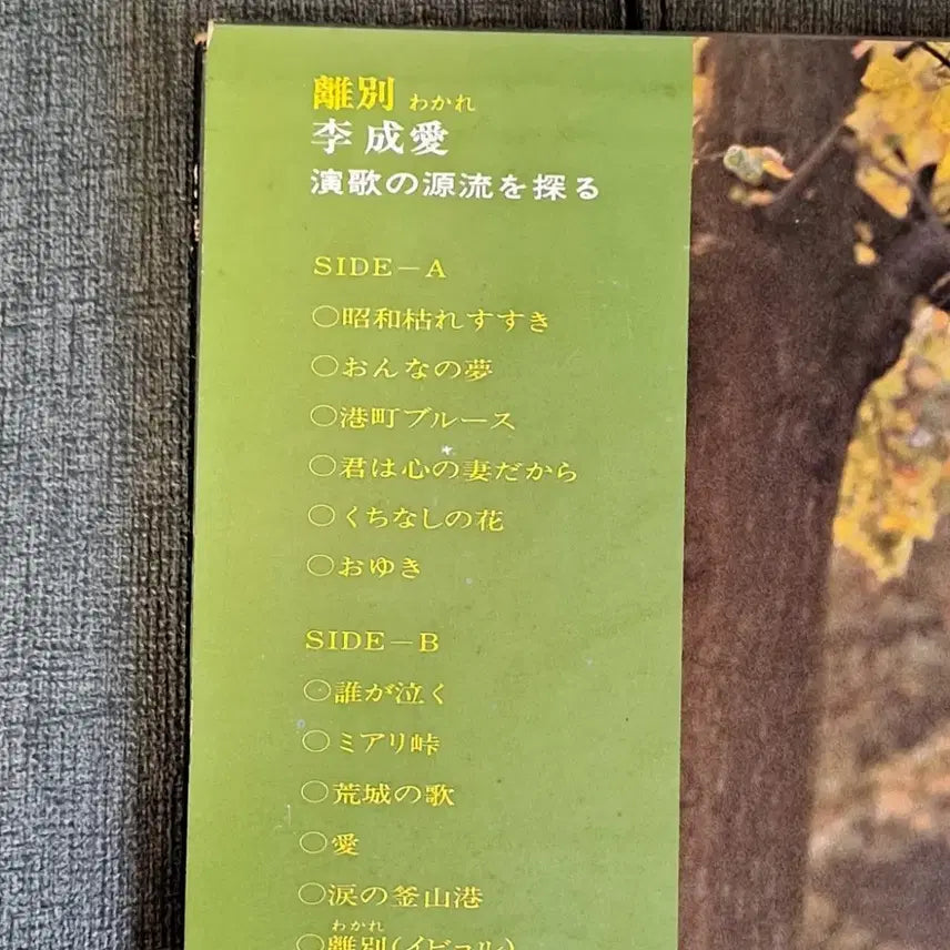 [BUNJANG] Lee Seung Gi Japanese Edition 3-Disc 4LP Bundle Set / 이성애 일본반 3장 일괄 4lp