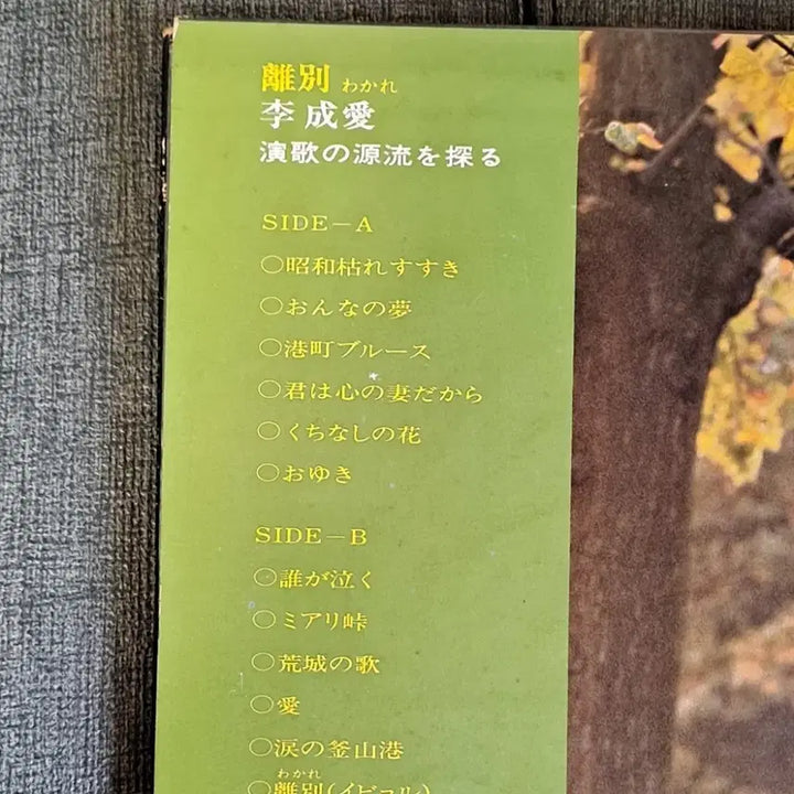 [BUNJANG] Lee Seung Gi Japanese Edition 3-Disc 4LP Bundle Set / 이성애 일본반 3장 일괄 4lp