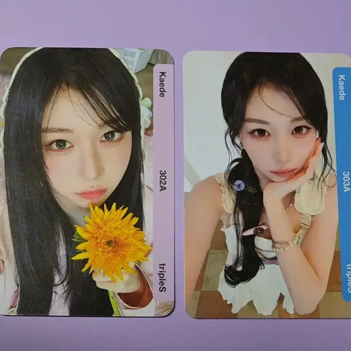[BUNJANG] TripleS Kaede CC302 CC303 Baby Flower Album Object / 트리플에스 카에데 CC302 CC303 베이비플라워 앨범 오브젝트