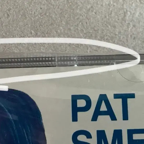 [BUNJANG] Pat Smear 2nd Album First Press Unsealed CD / 90년대 팻 스미어 Pat Smear 2집 초판 미개봉 CD 얼터너티브 록 너바나