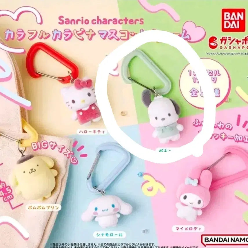 [BUNJANG] Sanrio Characters Colorful Carabiner Mascot Charm (Pochacco) / 산리오 캐릭터즈 알록달록 카라비나 마스코트 참 카라비너 가챠 (포차코)