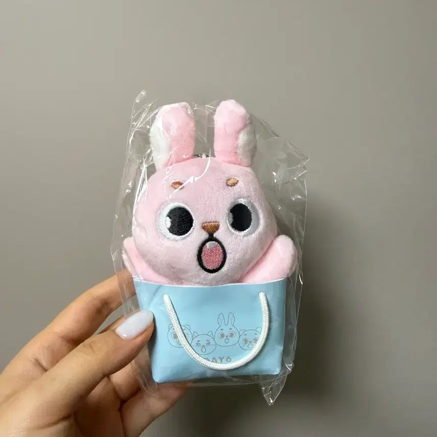 [BUNJANG] DAY6 Japan Bag Charm Sealed / 데이식스 일본백참 미개봉(필)