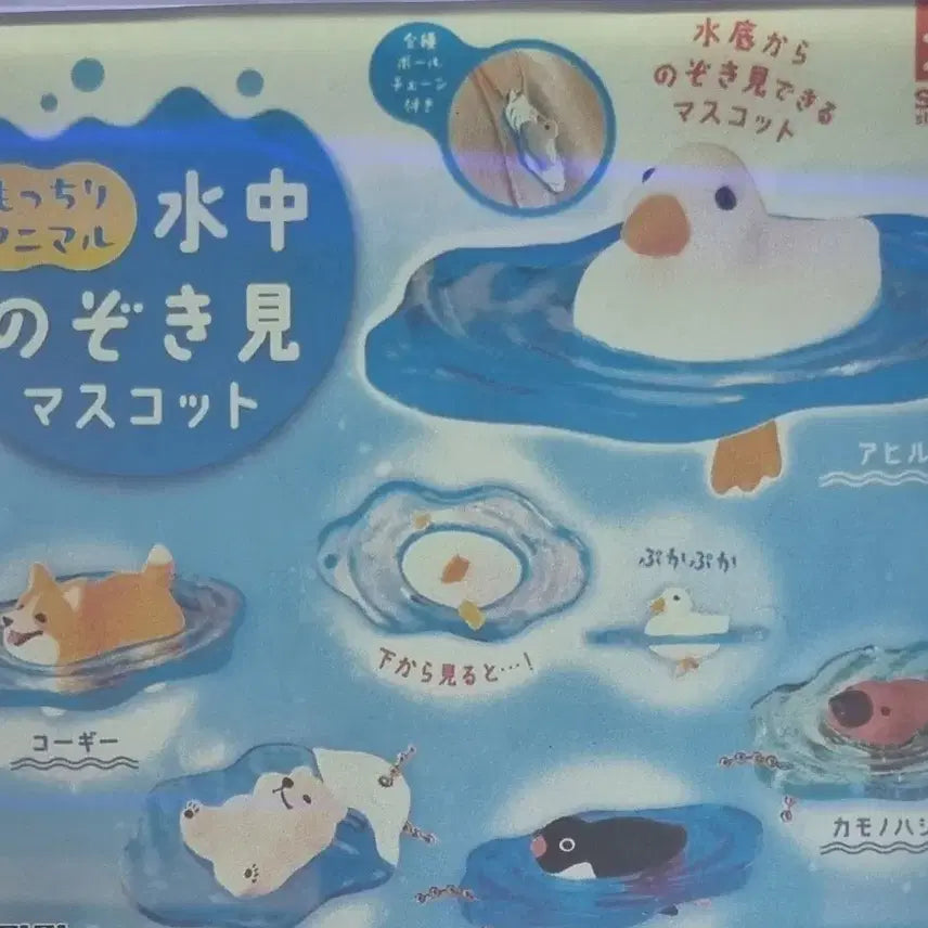 [BUNJANG] Platypus Gacha Keyring / 오리너구리 키링 가챠