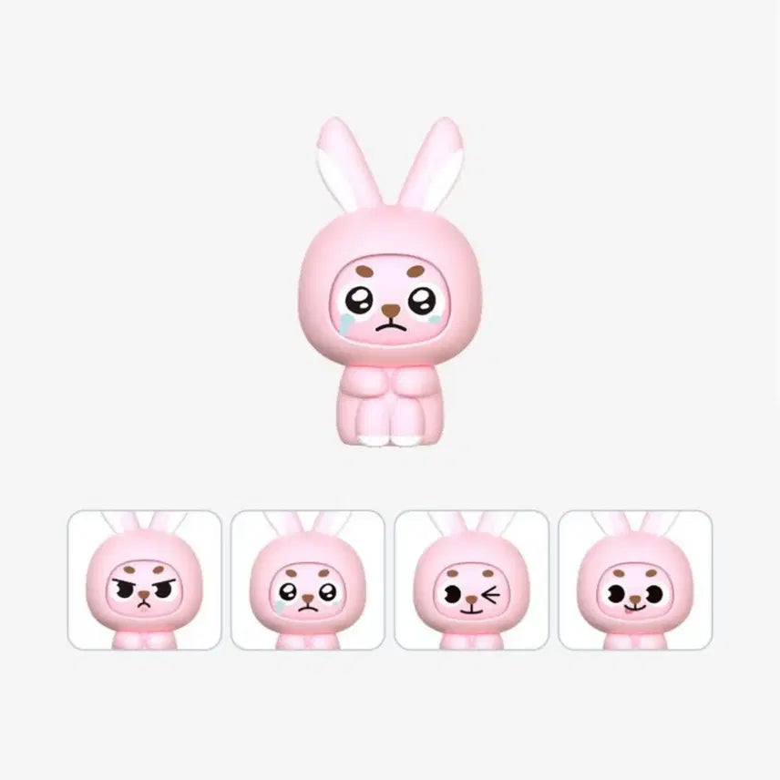 [BUNJANG] DAY6 DAY6 Denimals PEELED FACE CHANGE Figure Wonpil Sealed / 데니멀즈 필 페이스 체인지 피규어 원필 미개봉