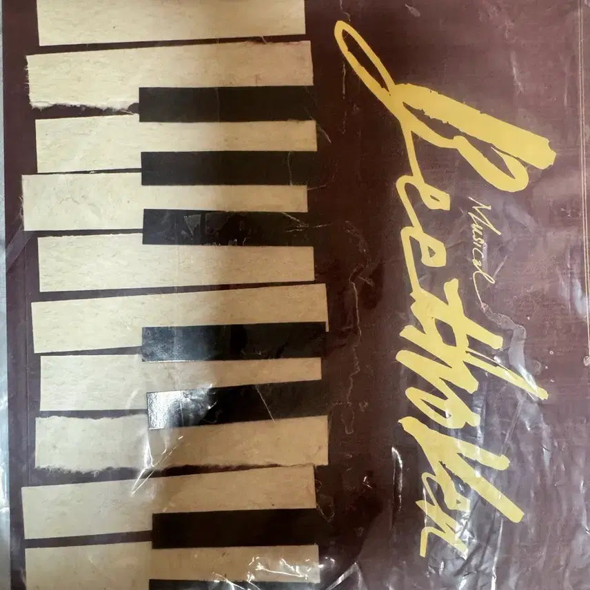 [BUNJANG] Park Hyo Shin 2026 Musical Beethoven Photobook / (새상품)2026년 뮤지컬 베토벤 박효신 포토북