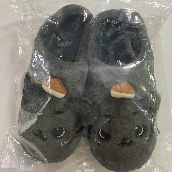 [BUNJANG] NCT Wish Kuri Riku Odd to Love Room Shoes New / [당일발송] 엔시티 위시 오드투러브 리쿠 쿠리 룸슈즈 새상품