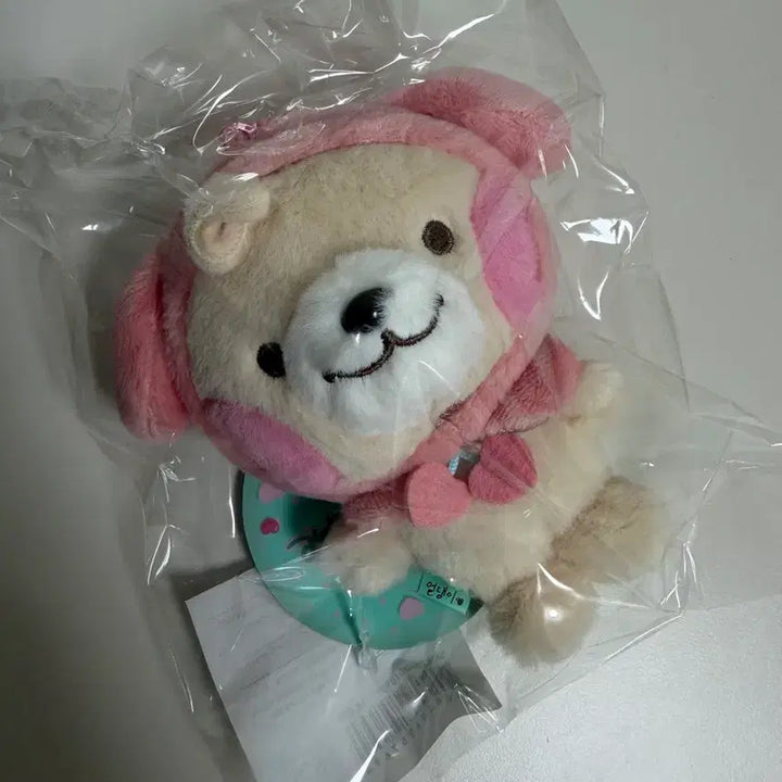 [BUNJANG] EXO Chanyeol Official Doll Yeoldengie Sealed / 엑소 찬열 공식 인형 열댕이 미개봉 양도