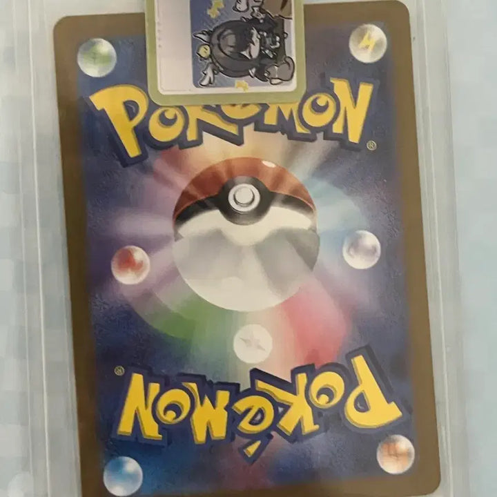 [BUNJANG] Pokemon Card Japanese Single Syu SAR / 포켓몬카드 일판 시유sar, srㅍㅍ