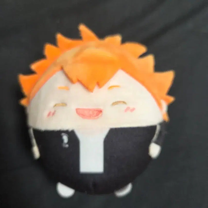[BUNJANG] Haikyuu!! Shoyo Hinata Fuwakororin Plush / 하이큐 후와코로링 히나타