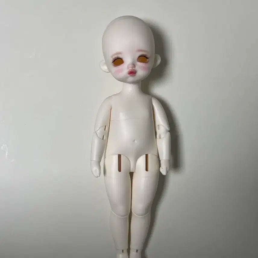 [BUNJANG] Fluffy-Chi Hanabbbu BJD Doll / 플러피치 하나뿌 구체관절인형