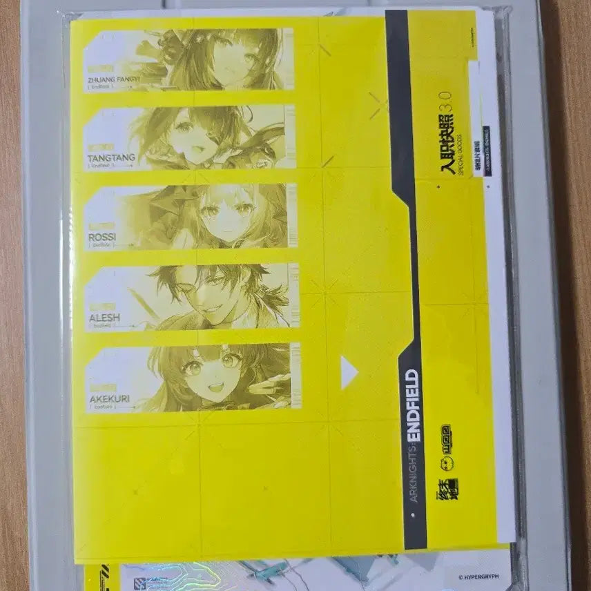 [BUNJANG] Arknights Endfield Postcard Set / 명일방주 엔드필드 엽서 세트 포스트카드