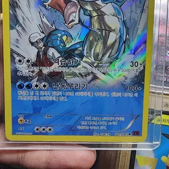 [BUNJANG] Gyarados Album Card / XY 갸라도스 앨범용