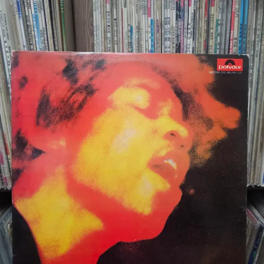 [BUNJANG] Jimi Hendrix 2LP / 지미 핸드릭스 2LP