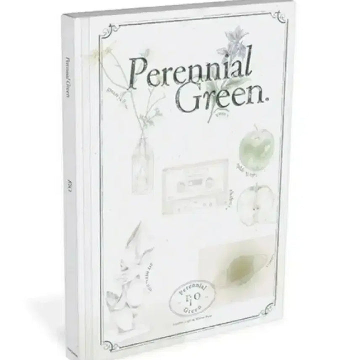 [BUNJANG] RIO Perennial Green Album (Sealed) / 리오 RIO 앨범  Perennial Green  (미개봉)