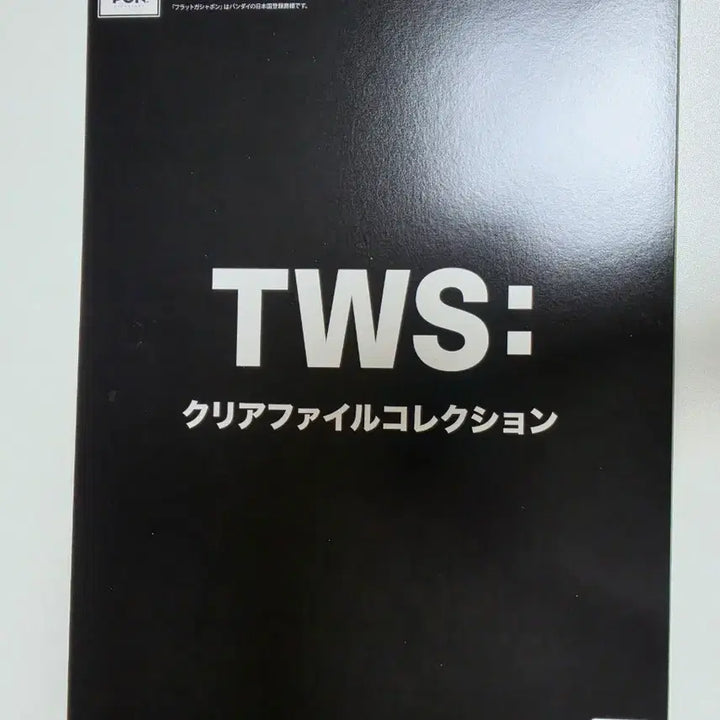 [BUNJANG] TWS Shinyu Bandai Clear File / 투어스 반다이 클리어파일 신유