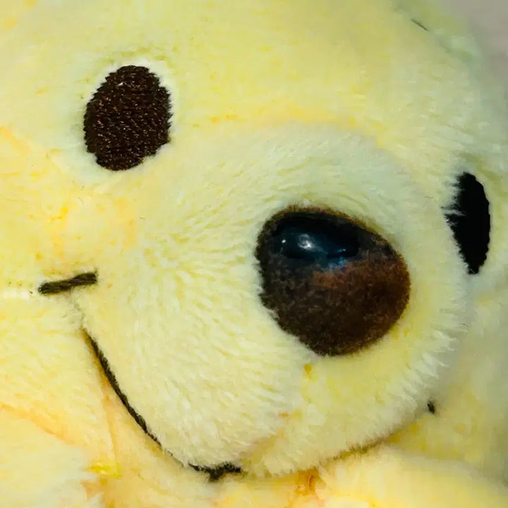 [BUNJANG] Winnie the Pooh Plush Keychain / 곰돌이 푸 인형 키링