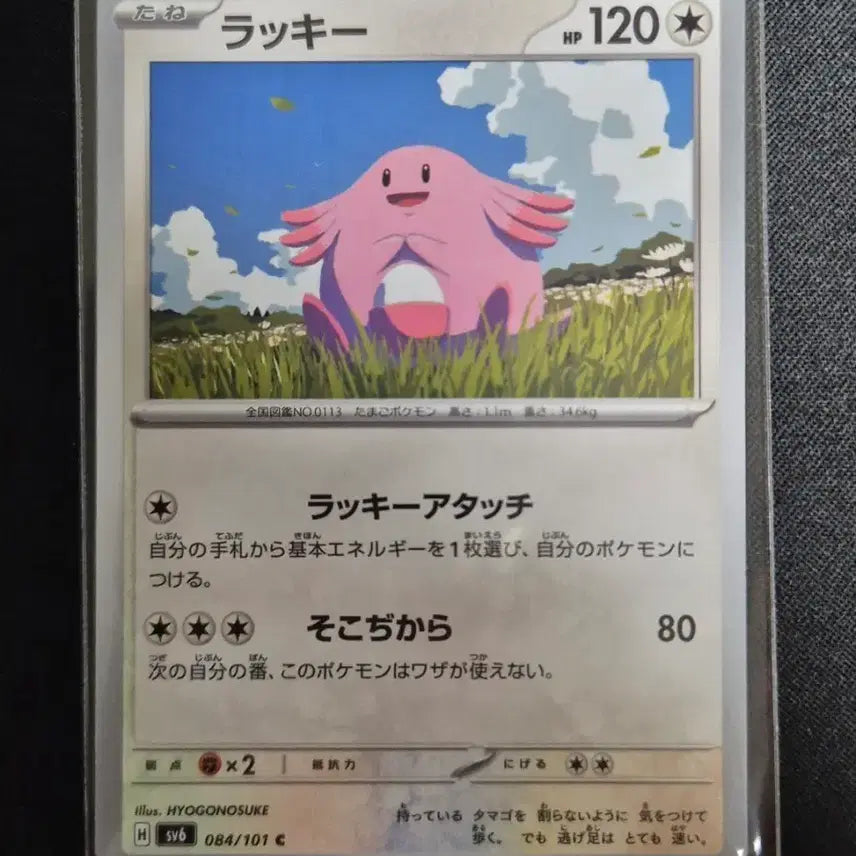[BUNJANG] Pokémon Card - Transformation&