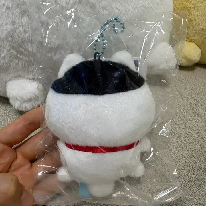 [BUNJANG] Chiikawa Mogu Mogu Honpo Kawagoe Kongnuni Hachiware Mascot (Sealed) / 미개봉) 치이카와 모구모구혼포 가와고에 콩눈이 하치와레 마스코트 판매합니다!