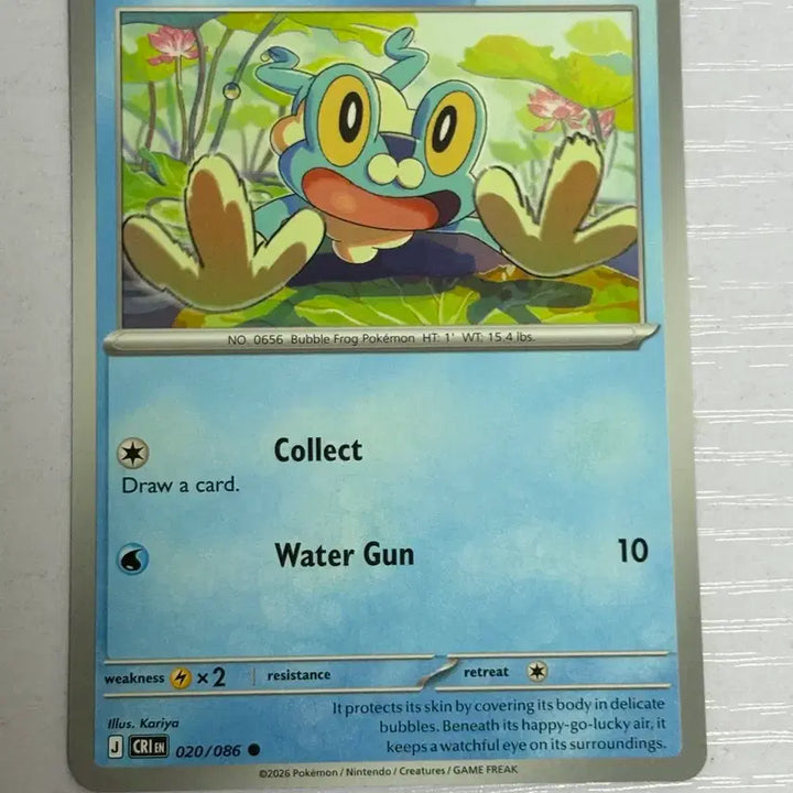[BUNJANG] Pokemon Card North American Edition Chespin / 포켓몬카드 [북미판 덱소스 귀여운] 개구마르