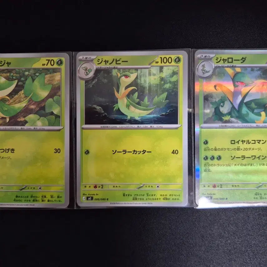 [BUNJANG] Japanese Pokemon TCG Jurian, Shabee, Sharod evolved Set / 일본판 포켓몬 TCG 주리비얀 샤비 샤로다 진화 세트