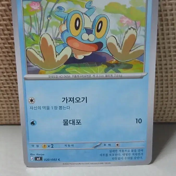 [BUNJANG] Pokemon Card - Mudkip / 포켓몬 카드 개구마르