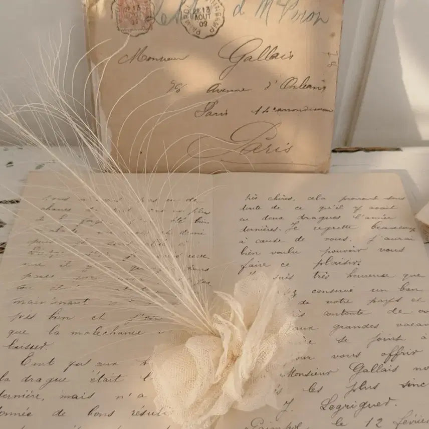 [BUNJANG] French Antique Feather Ornament / 프랑스엔틱 페더 장식