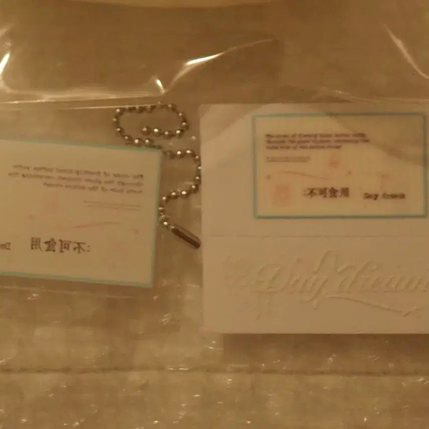 [BUNJANG] Daydream Mint Chocolate Squishy Toy / Daydream 데이드림 민초 말랑이