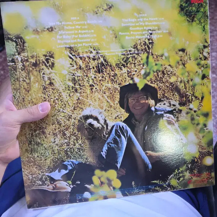 [BUNJANG] John Denver Greatest Hits LP Album / 존 덴버 GREATEST HITS LP 앨범