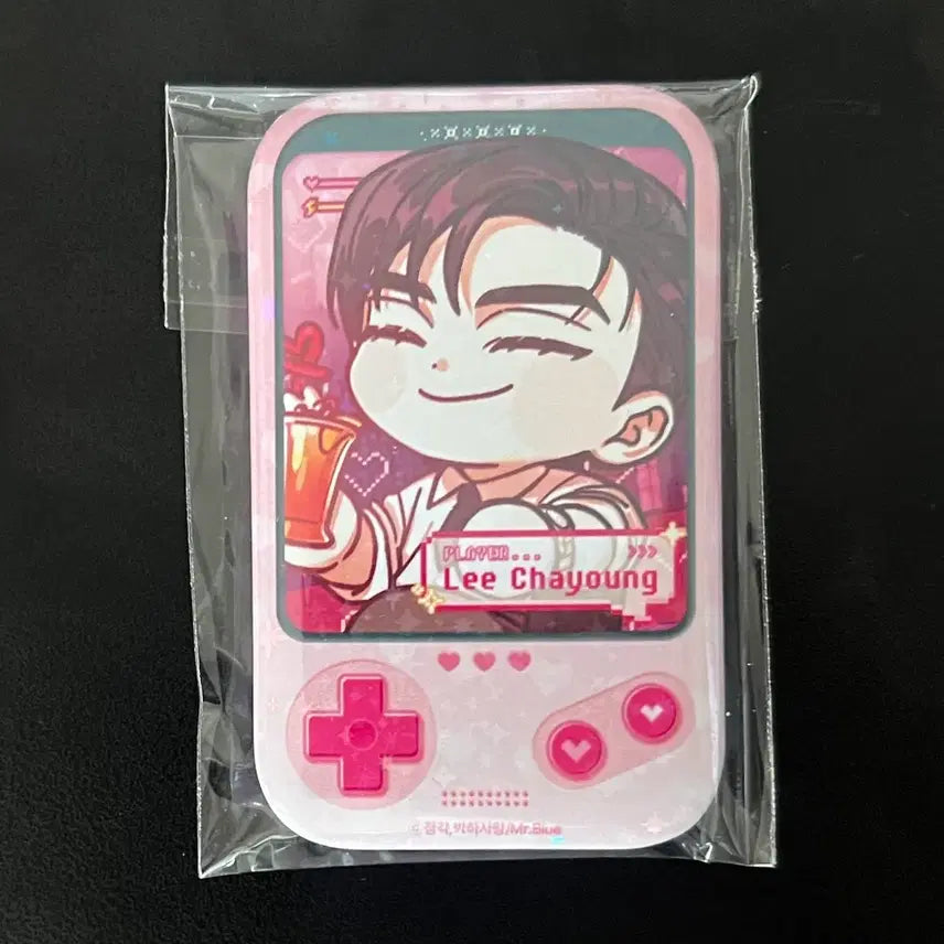 [BUNJANG] Mible Company Lee Cha Young Dog and Bird Can Badge / 미블컴퍼니 개와새 이차영 캔뱃지 양도