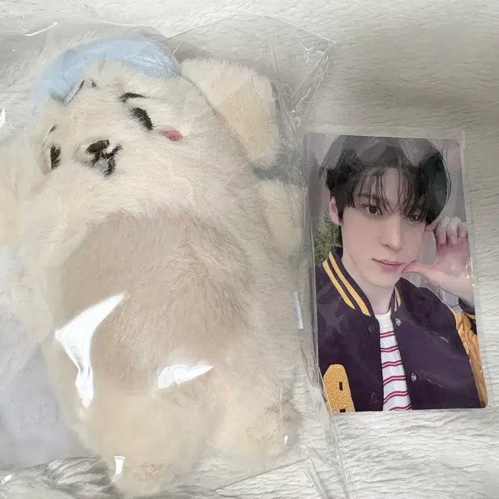 [BUNJANG] ATEEZ Yunho Seonghwa San Plush 2026 Ver. / 에이티즈 윤호산성화 PLUSH 2026 Ver.