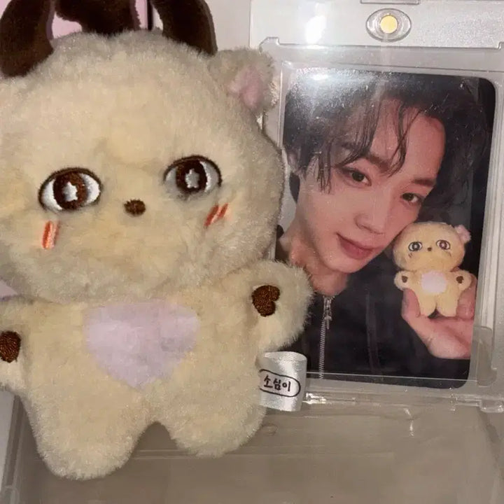 [BUNJANG] Park Jihoon "Sosimi" &amp; Byeon Woo Seok Season&