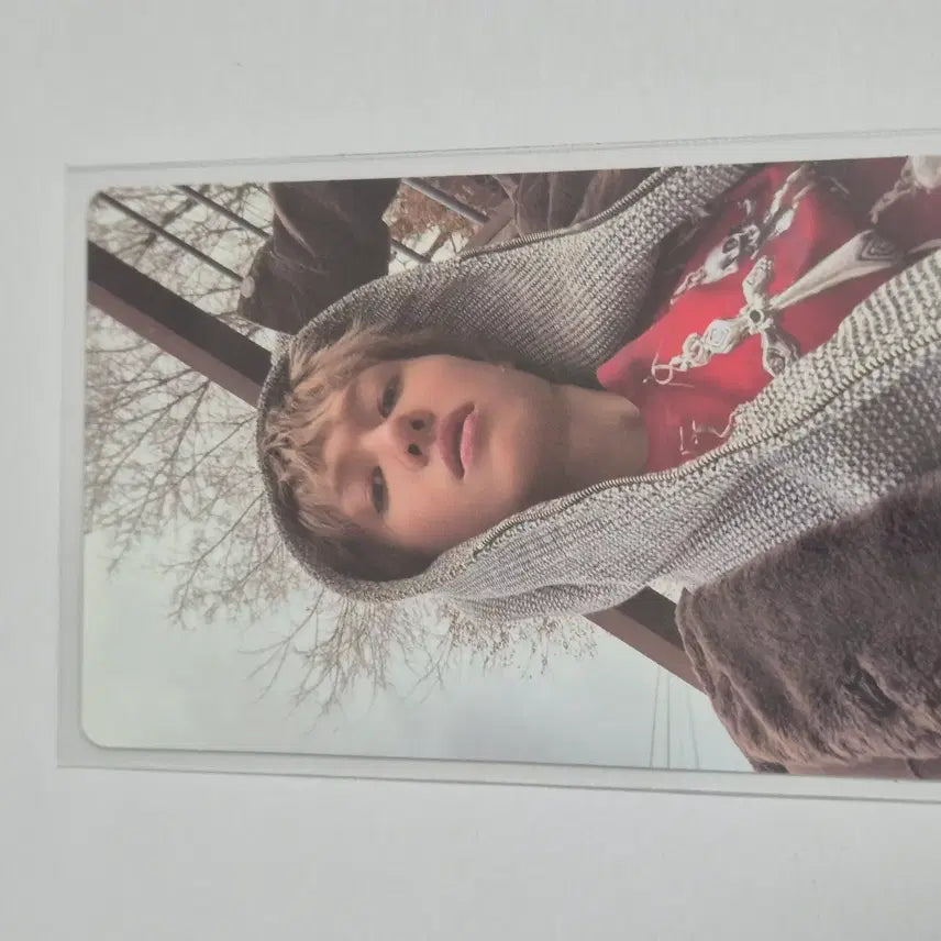 [BUNJANG] Cortis Martin Green Green Weverse POB Photocard / 코르티스 마틴 그린그린 위버스 미공포 특전 포토카드 포카 cortis