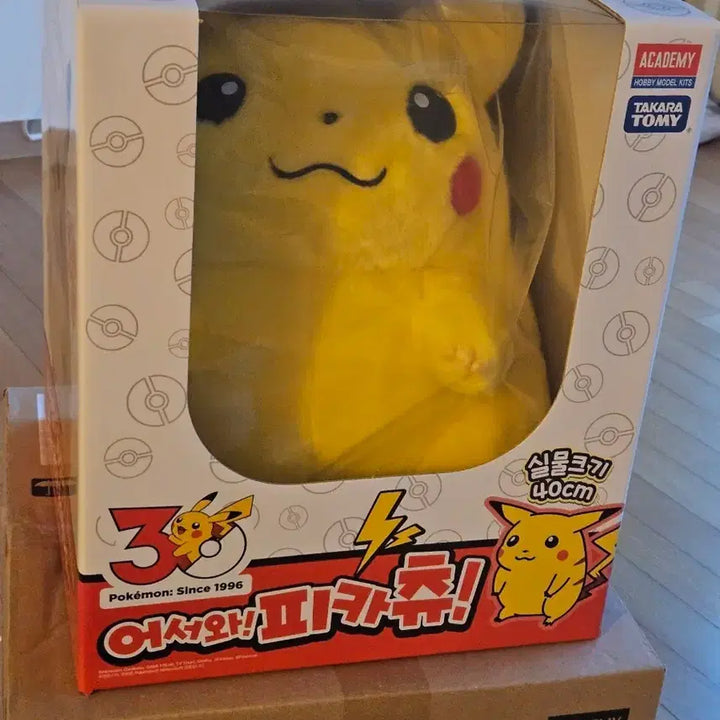 [BUNJANG] Pokemon Pikachu Plush Doll / 포켓몬스터 어서와 피카츄 인형