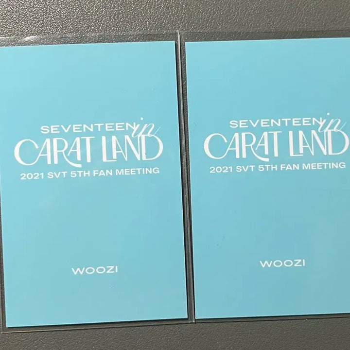 [BUNJANG] SEVENTEEN Woozi 2021 Caratland T-shirt Photocard / 세븐틴 우지 2021 캐럿랜드 티셔츠 포카 포토카드