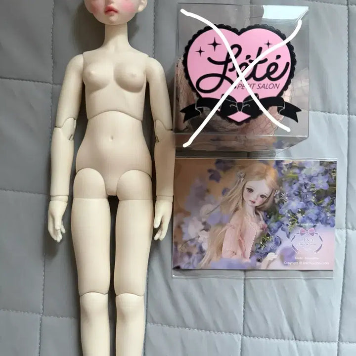 [BUNJANG] LinaShoo NemoPhila Ball-Jointed Doll / 구체관절인형 리나슈슈 네모필라