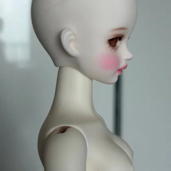 [BUNJANG] LinaShoo NemoPhila Ball-Jointed Doll / 구체관절인형 리나슈슈 네모필라