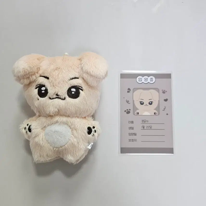 [BUNJANG] Lee Junyoung 10cm Doll Jjunmong / 이준영 10cm 인형 쭌몽이