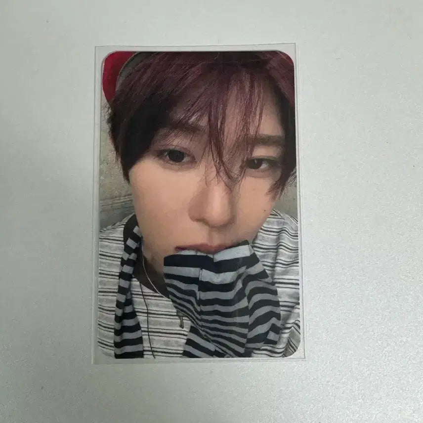 [BUNJANG] NCT WISH Sion Yoiz Don Photocard / nctwish 엔시티위시 요이돈 시온 포카