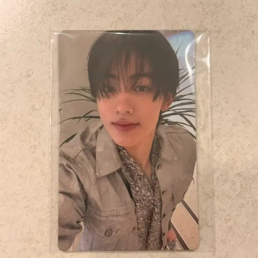 [BUNJANG] KORTIZ Uhm Sung-hyun Photocard Greengreen Weverse POB / 코르티스 엄성현 포카 그린그린 위버스 미공포