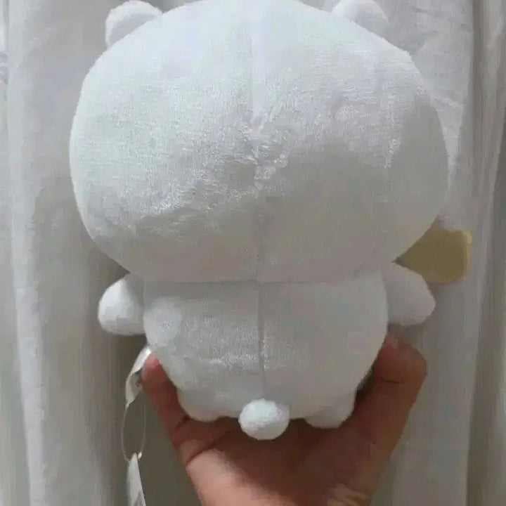 [BUNJANG] FURYU Chiikawa "Racco with Me" Series Plush / 후류 치이카와 랏코와함께 시리즈