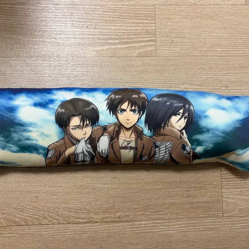 [BUNJANG] Attack on Titan Cushion / 진격의 거인 굿즈 쿠션