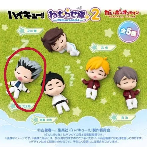 [BUNJANG] Haikyuu!! Nemurasetai Gacha Bokuto / 하이큐 네무라세타이 가챠 보쿠토