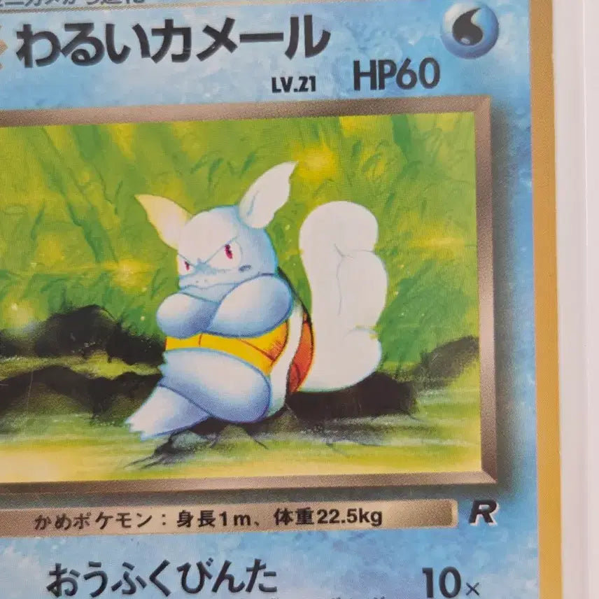 [BUNJANG] Pokemon Card Team Rocket Dark Wartortle (Old Back) Japanese / [일판] 포켓몬카드 올드백 빈티지 나쁜 어니부기 (Dark Wartortle) 정품 판매