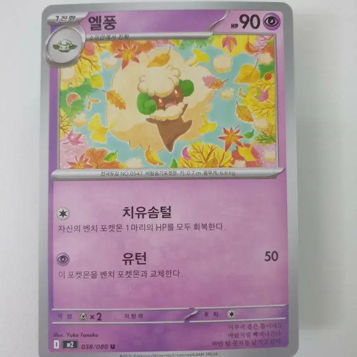 [BUNJANG] Elite Four Pokemon Card 038/080 U / 엘풍 포켓몬카드