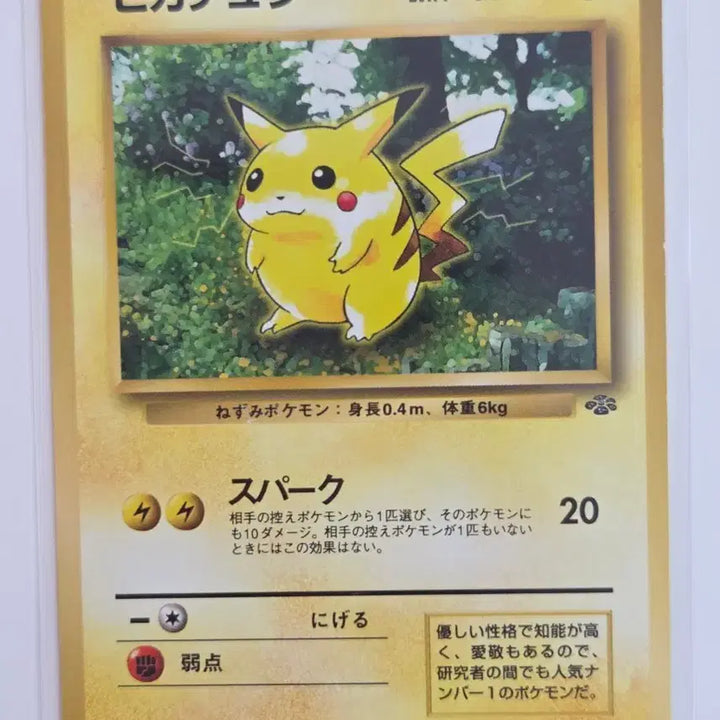 [BUNJANG] Vintage Pikachu LV.14 (Pikachu Jungle) Japanese Original Card / [일판] 올드백 빈티지 피카츄 (Pikachu) LV.14 정품 판매