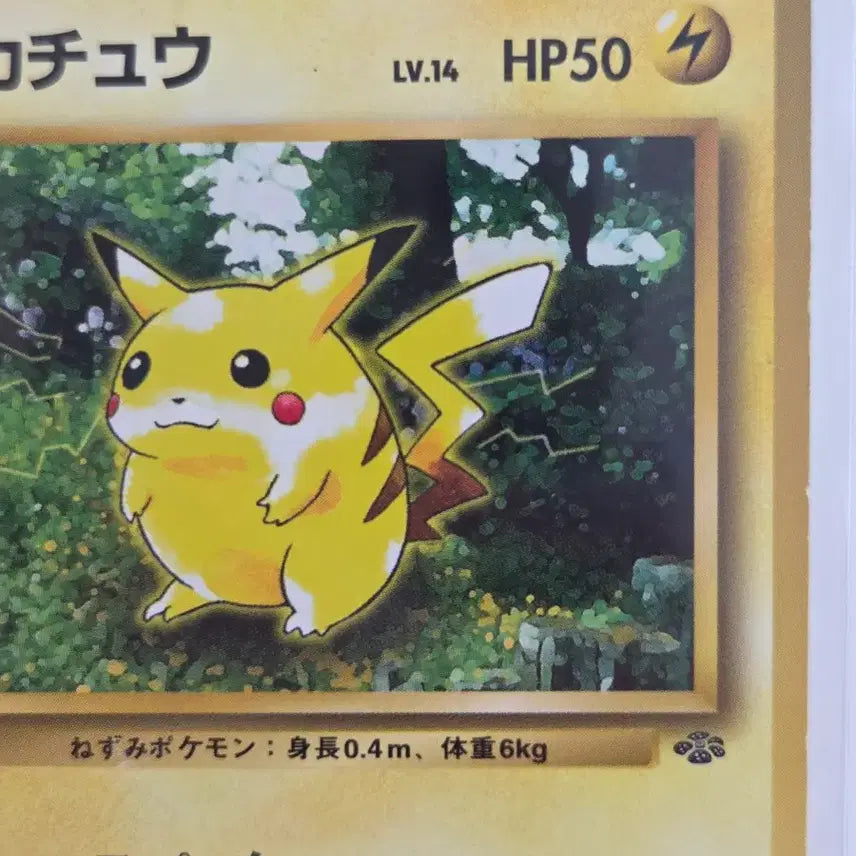 [BUNJANG] Vintage Pikachu LV.14 (Pikachu Jungle) Japanese Original Card / [일판] 올드백 빈티지 피카츄 (Pikachu) LV.14 정품 판매
