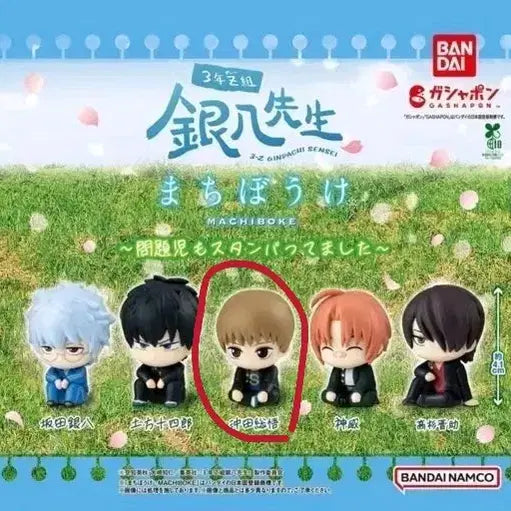 [BUNJANG] Gintama Sanjyou Machi Bokke Sogo / 은혼 삼젯 마치보케 소고