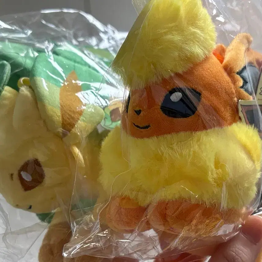 [BUNJANG] Pokemon Center Booster Sleeping Plush / 포켓몬스터 중포센 부스터 엎드린 인형