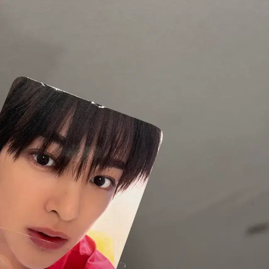 [BUNJANG] KORTIZ Concert Geonho Photocard / 코르티스 콘서트 건호 포카
