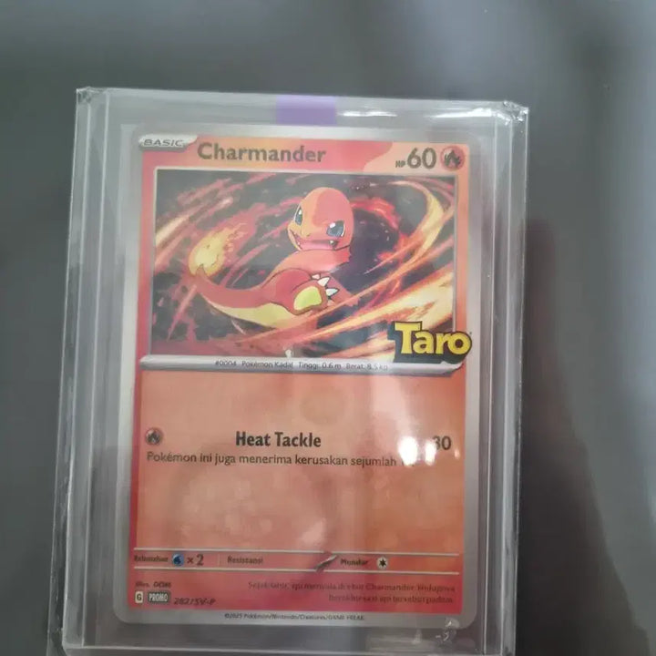 [BUNJANG] Pokemon Card Charmander Taro Promo Card / 포캣몬카드 파이리 taro 프로모 카드